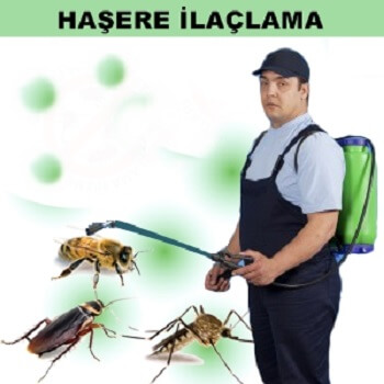 Payas Böcek İlaçlama